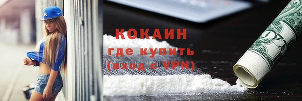 индика Белоозёрский