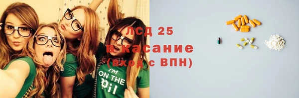 индика Белоозёрский