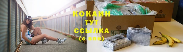 индика Белоозёрский
