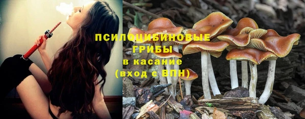 индика Белоозёрский