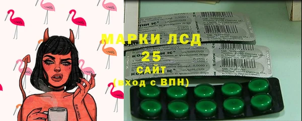 индика Белоозёрский