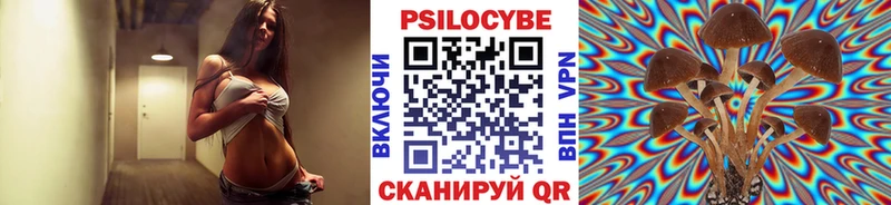 даркнет телеграм  Краснокаменск  Псилоцибиновые грибы мицелий 